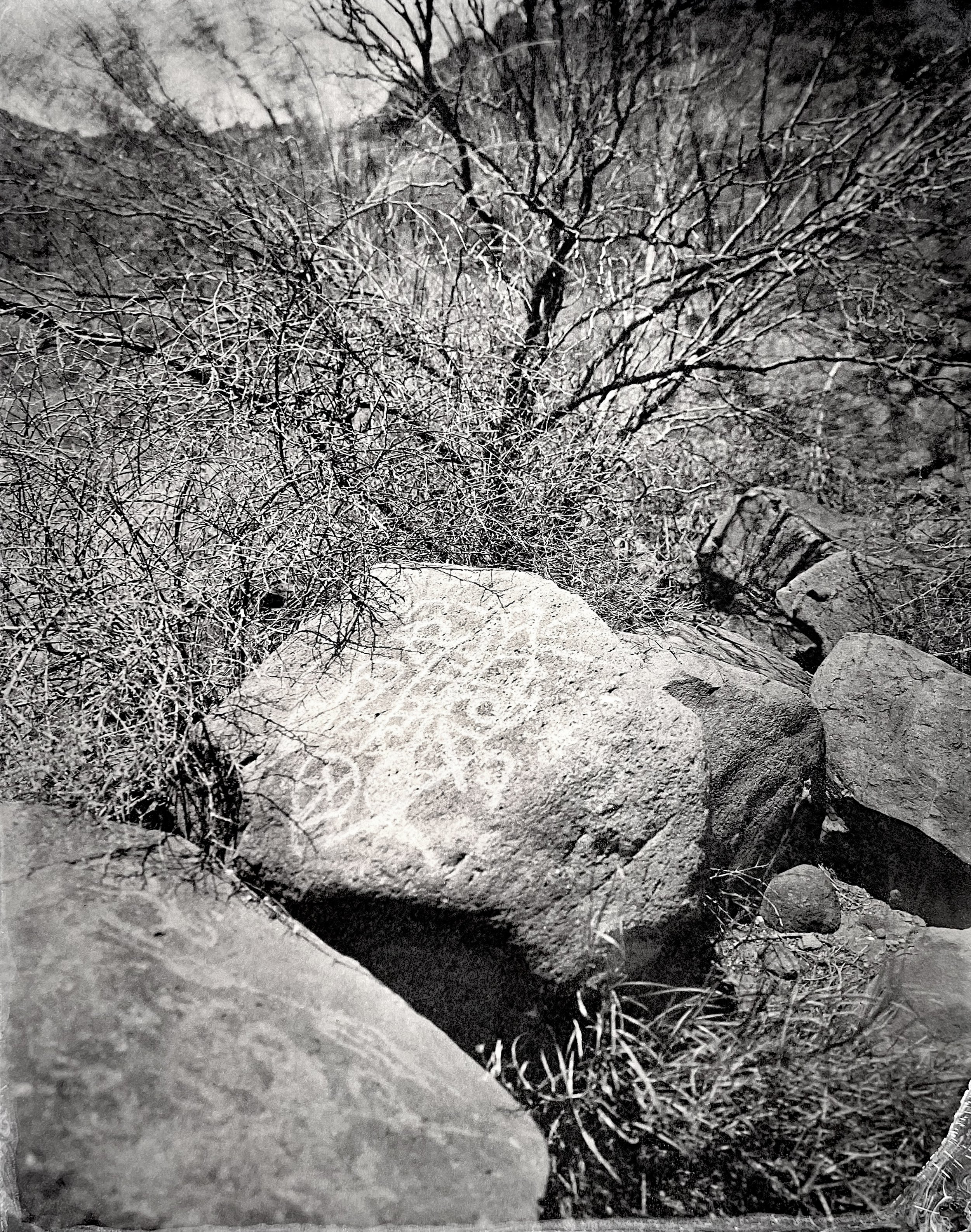 Petroglyph.1.Baja.2024:4 copy.jpg