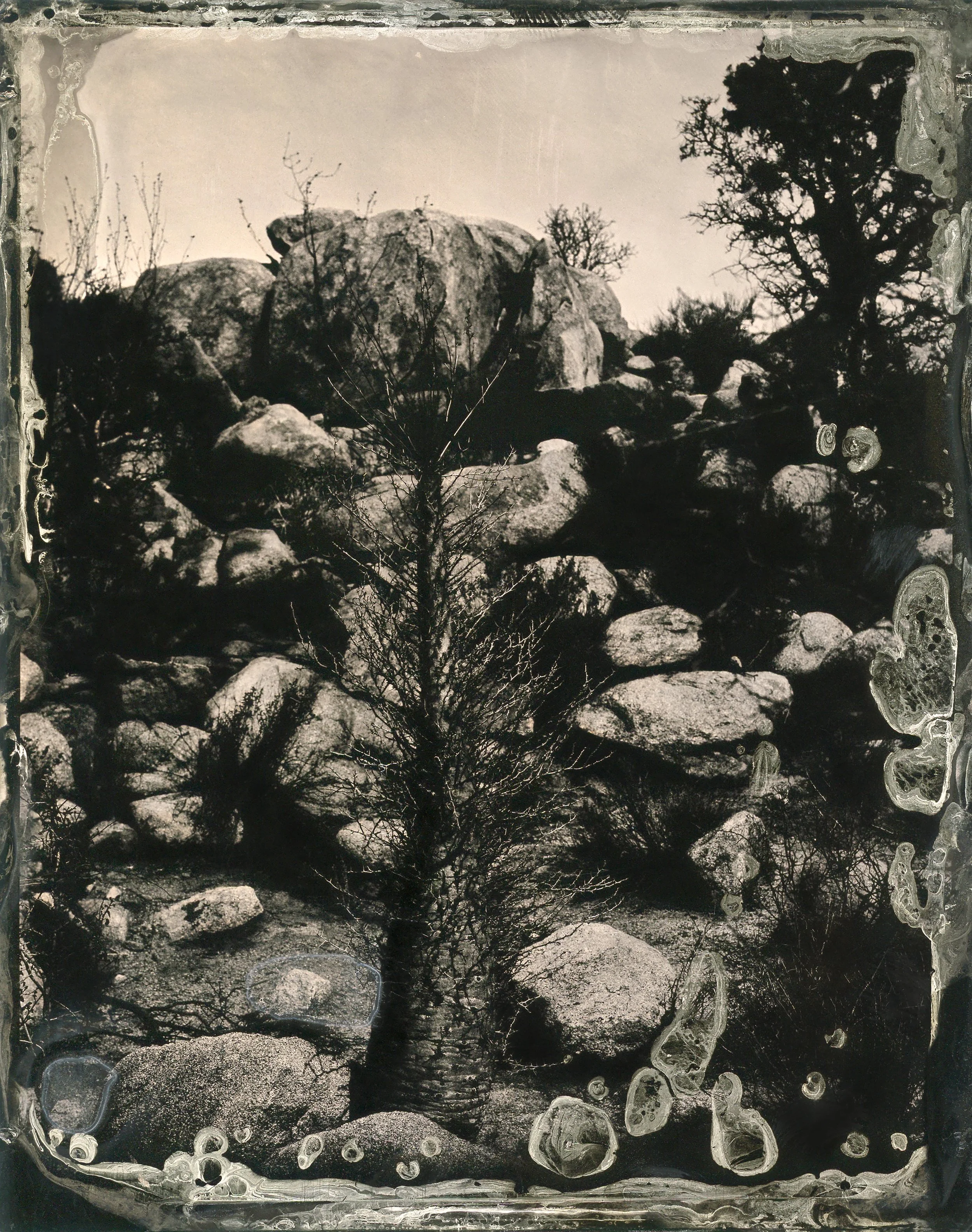2022.6.12.SanIgnacio.rocks.2 copy 2.jpg