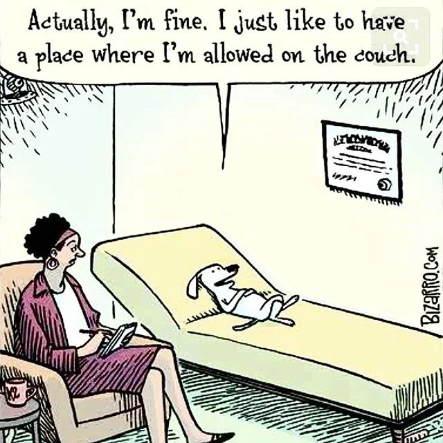 Therapy is not necessarily about a problem or crisis. Sometimes, having a place to self-asses, self-discover, self- empower, and grow is just a wonderful way of enhancing your life, whether individually, as a couple, or as a family - refer to it as #