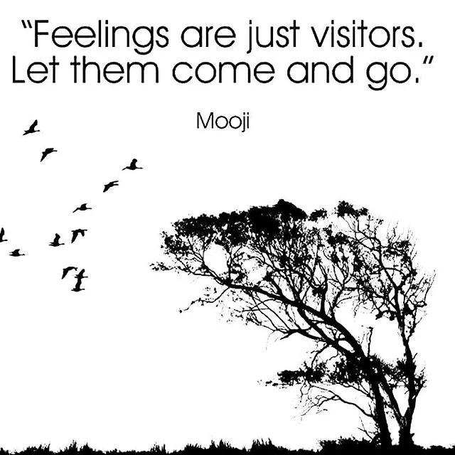 Feelings are transient >> they are not WHO we are, rather they are normal experiences we all have as human beings. Acknowledge them, accept them, validate them, and don't let them define you. #feelings #emotions #psychotherapy #instatherapy