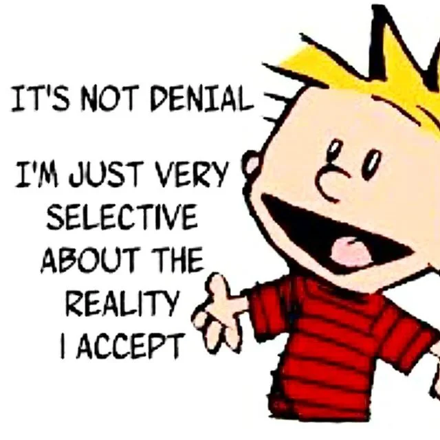 Passover is around the corner and "de-nile" is just one of the many holiday "jokes" floating around, making this appropriate. Denial is a coping mechanism. Coping mechanisms exist to help us survive when things get tough. The impo