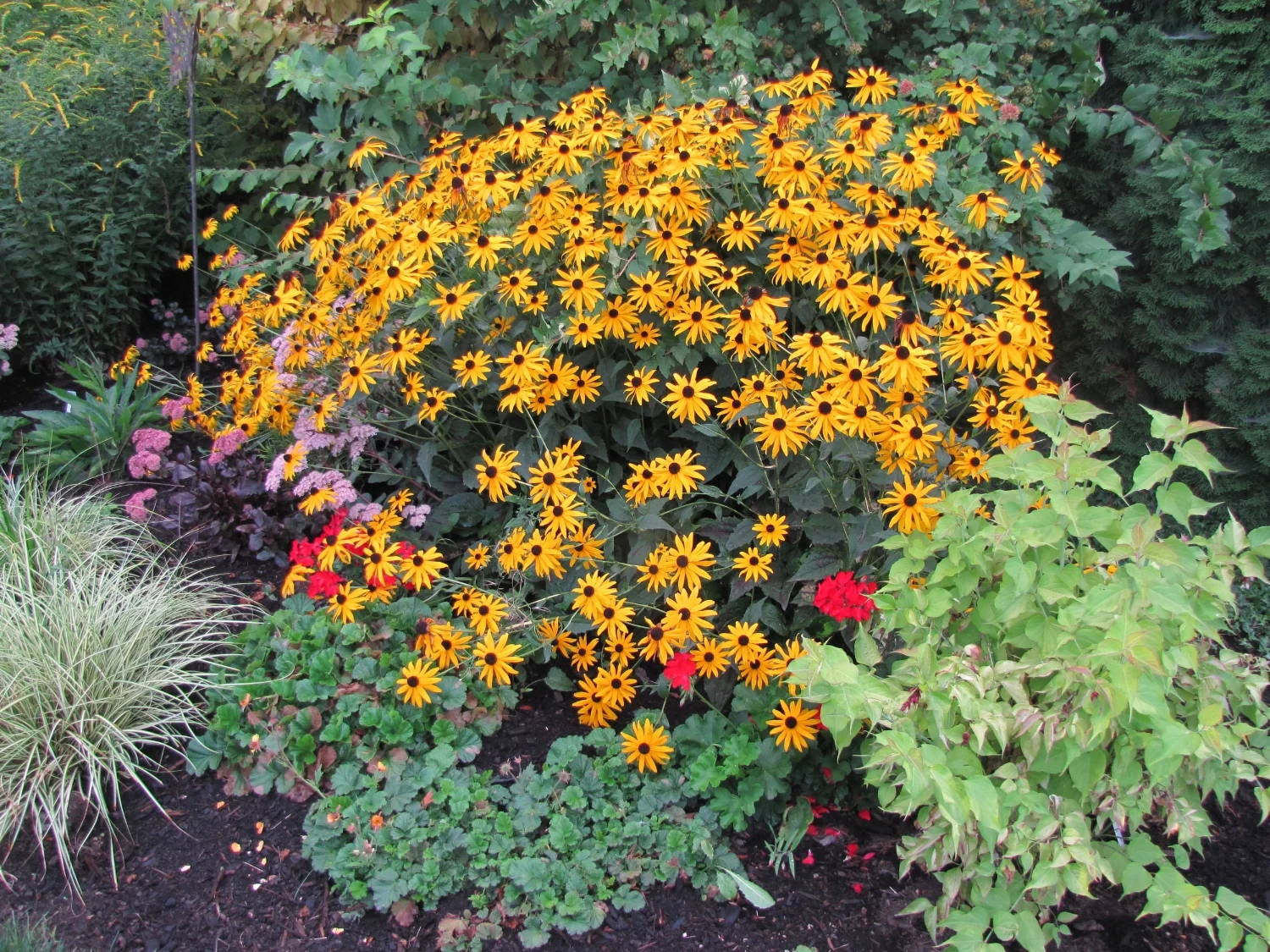 IMG_2712.JPG