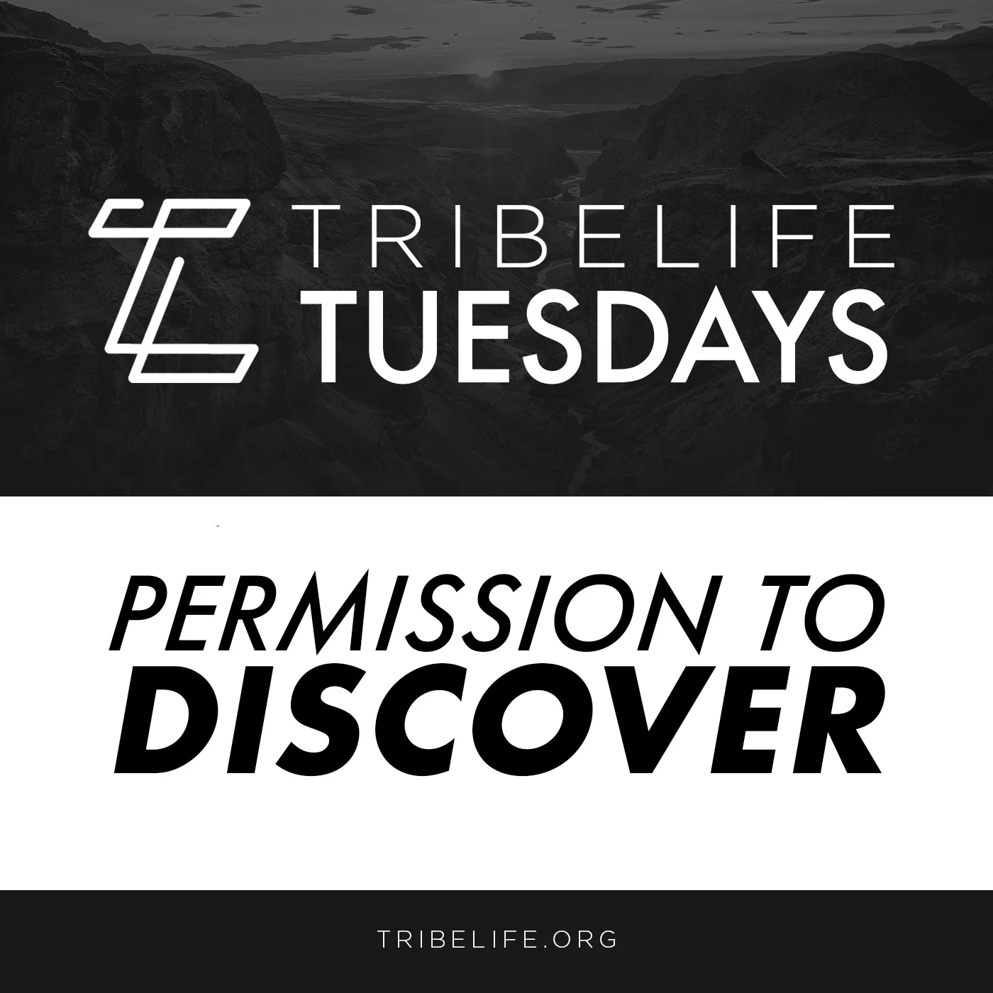 Permission to Discover 