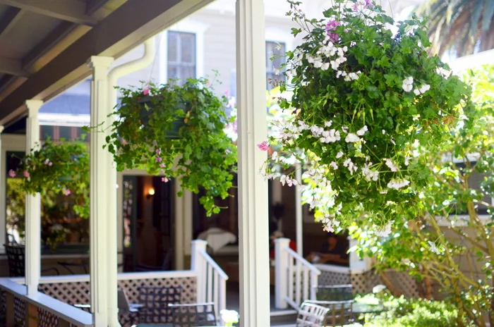 upham hotel
