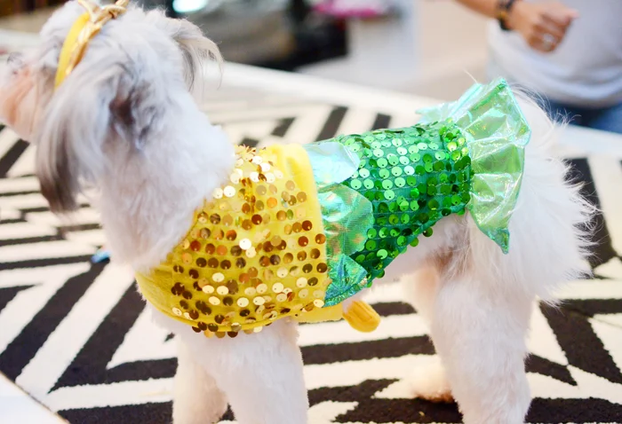 mermaid halloween costume