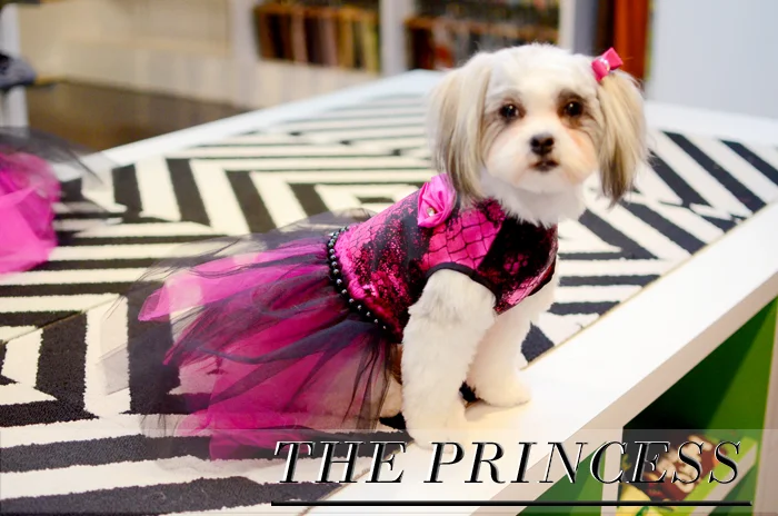 dog dresses