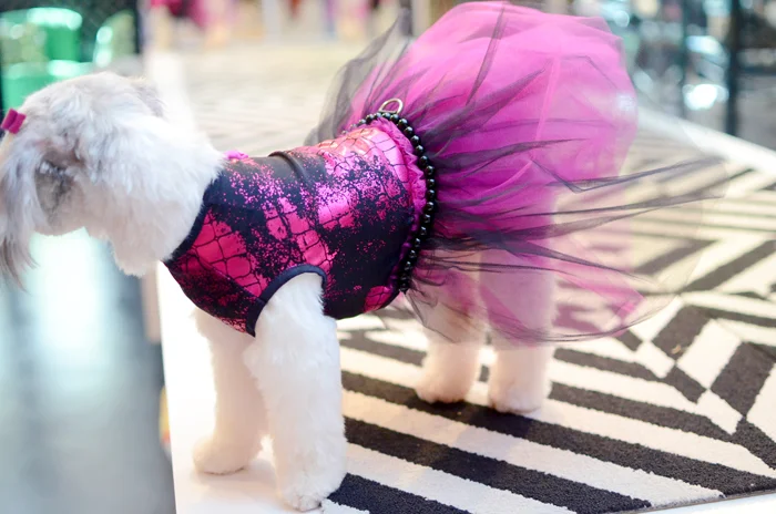 dog dresses