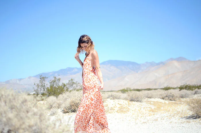 palm springs attractions