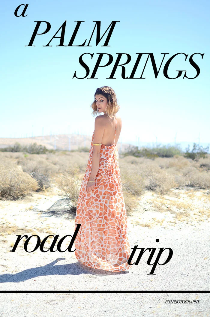 palm springs road trip