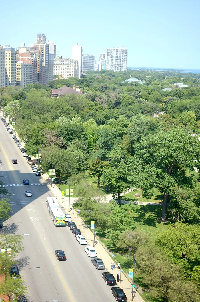 things to do in chicago