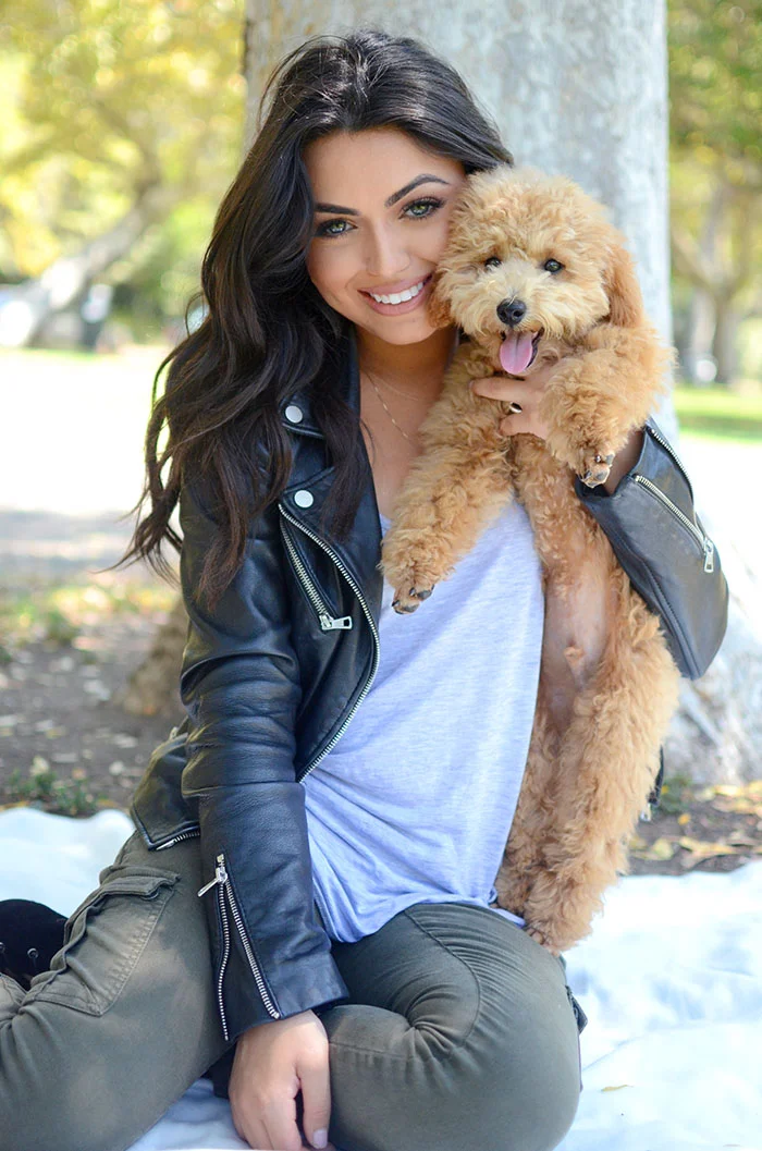 dash dolls