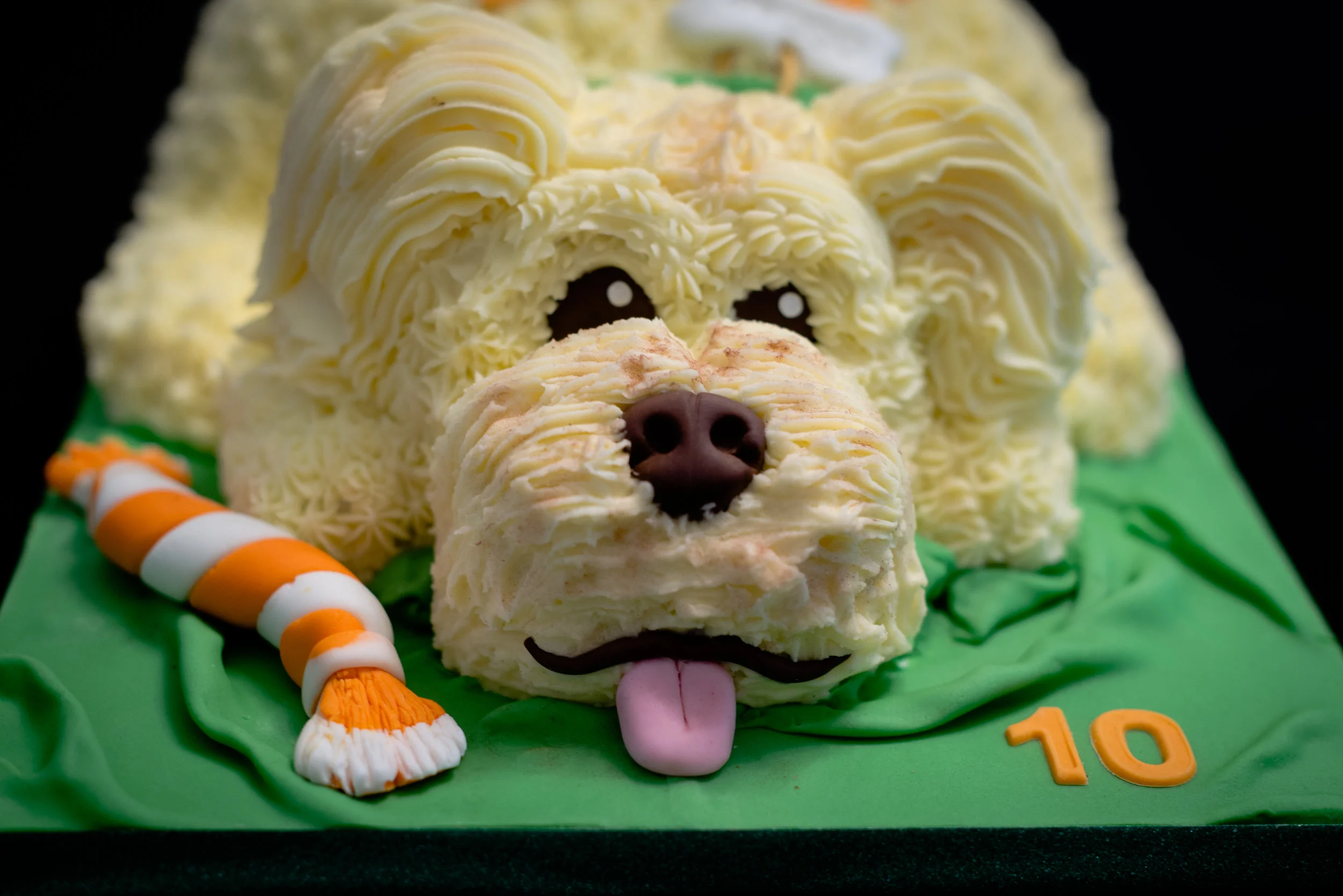 Hand Piped Dog Birthday Cake