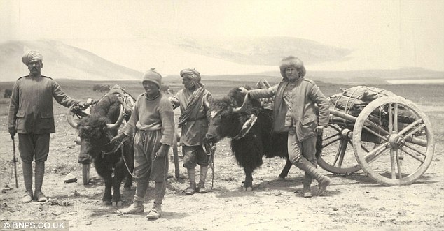 Sikh and British soldiers with a Tibetan guide and a Yak train -photograph by John Claude White, a political officer and joint leader of the expedition