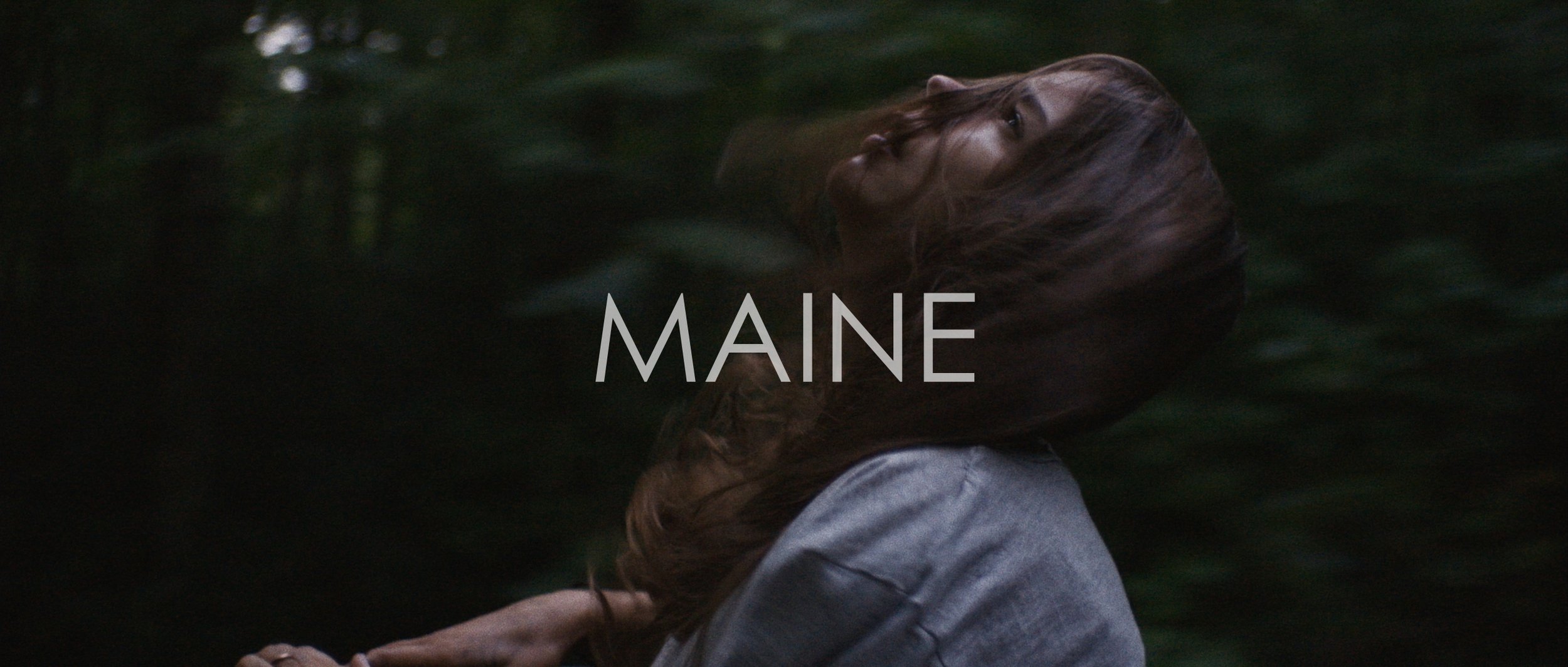 Maine_1.3.1.jpg