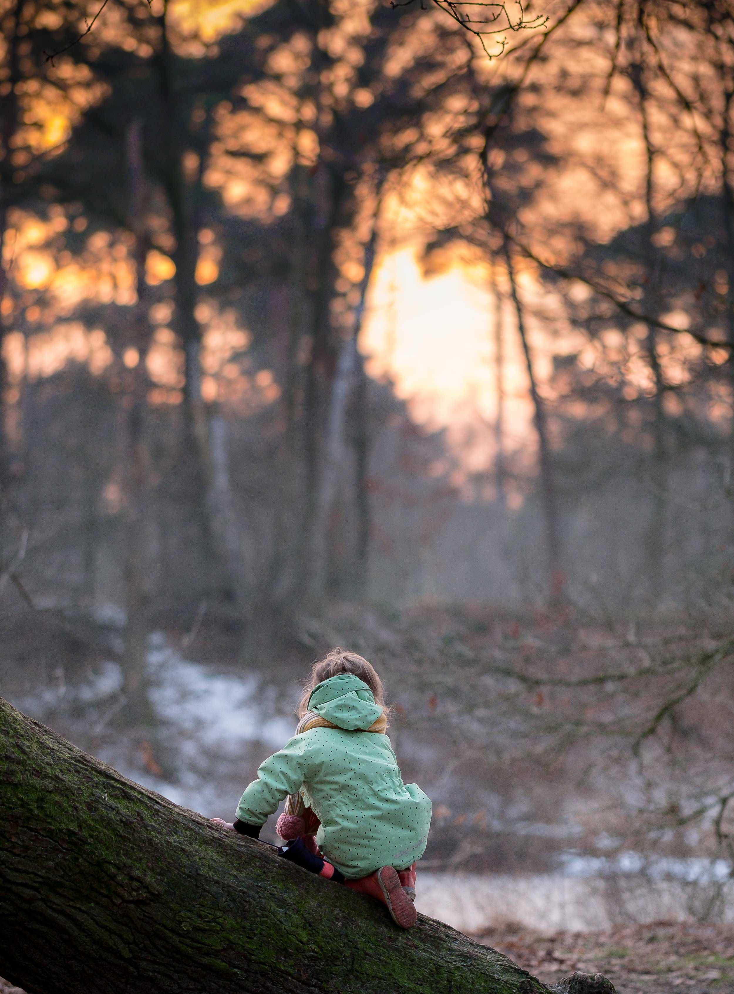 Lucy buiten 2-1.jpg