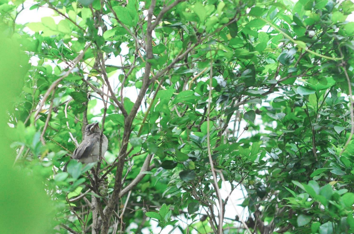 螢幕快照 2016-10-20 11.22.09 PM.png