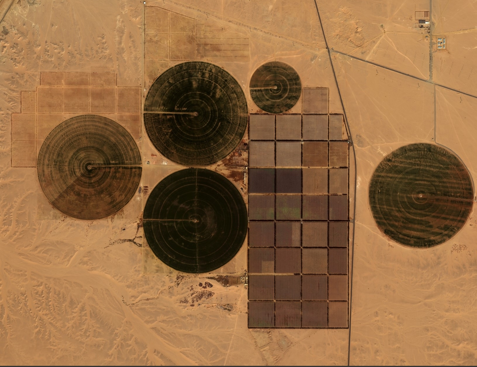 Shallow Egypt.jpg
