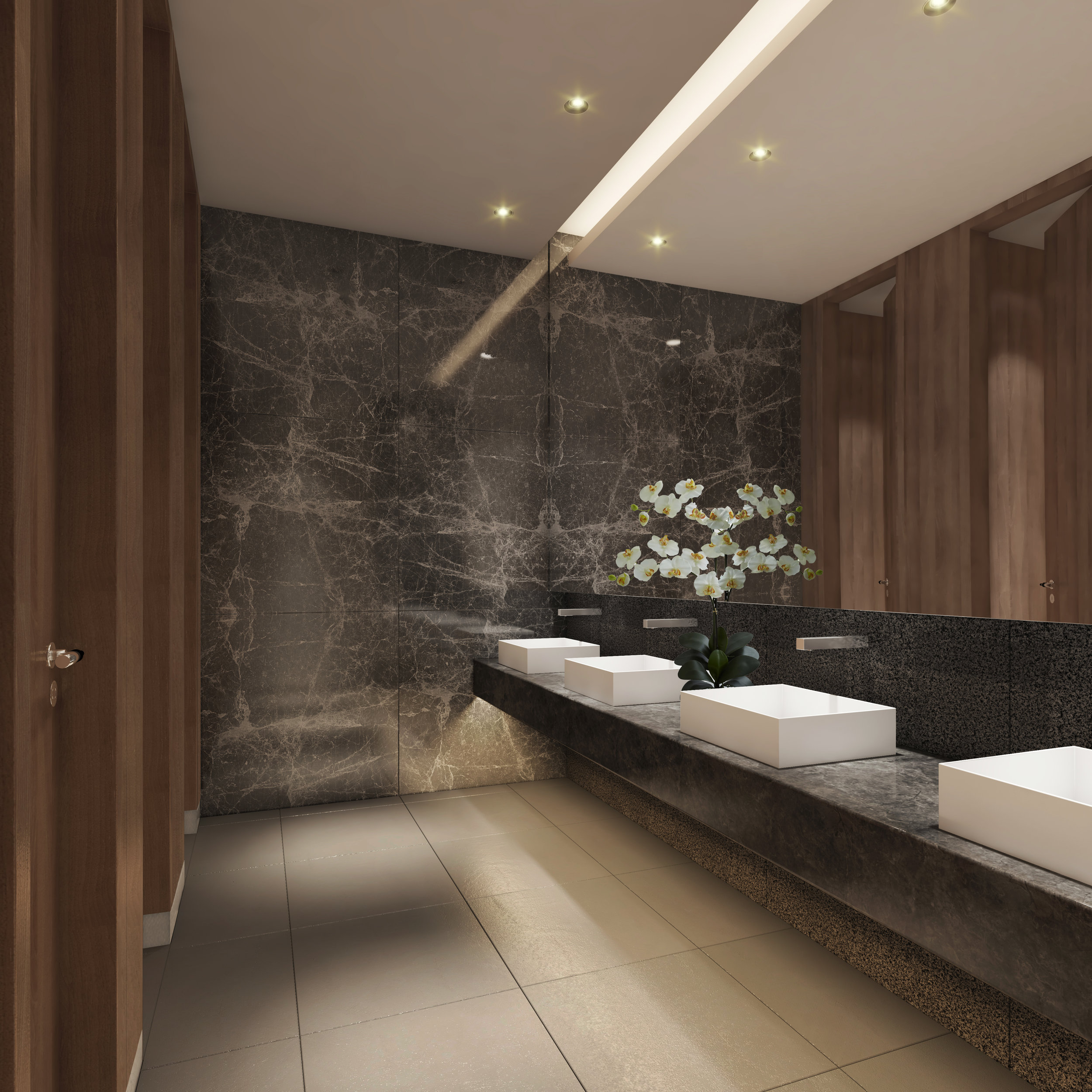 OFFICE TYPICAL TOILET .jpg