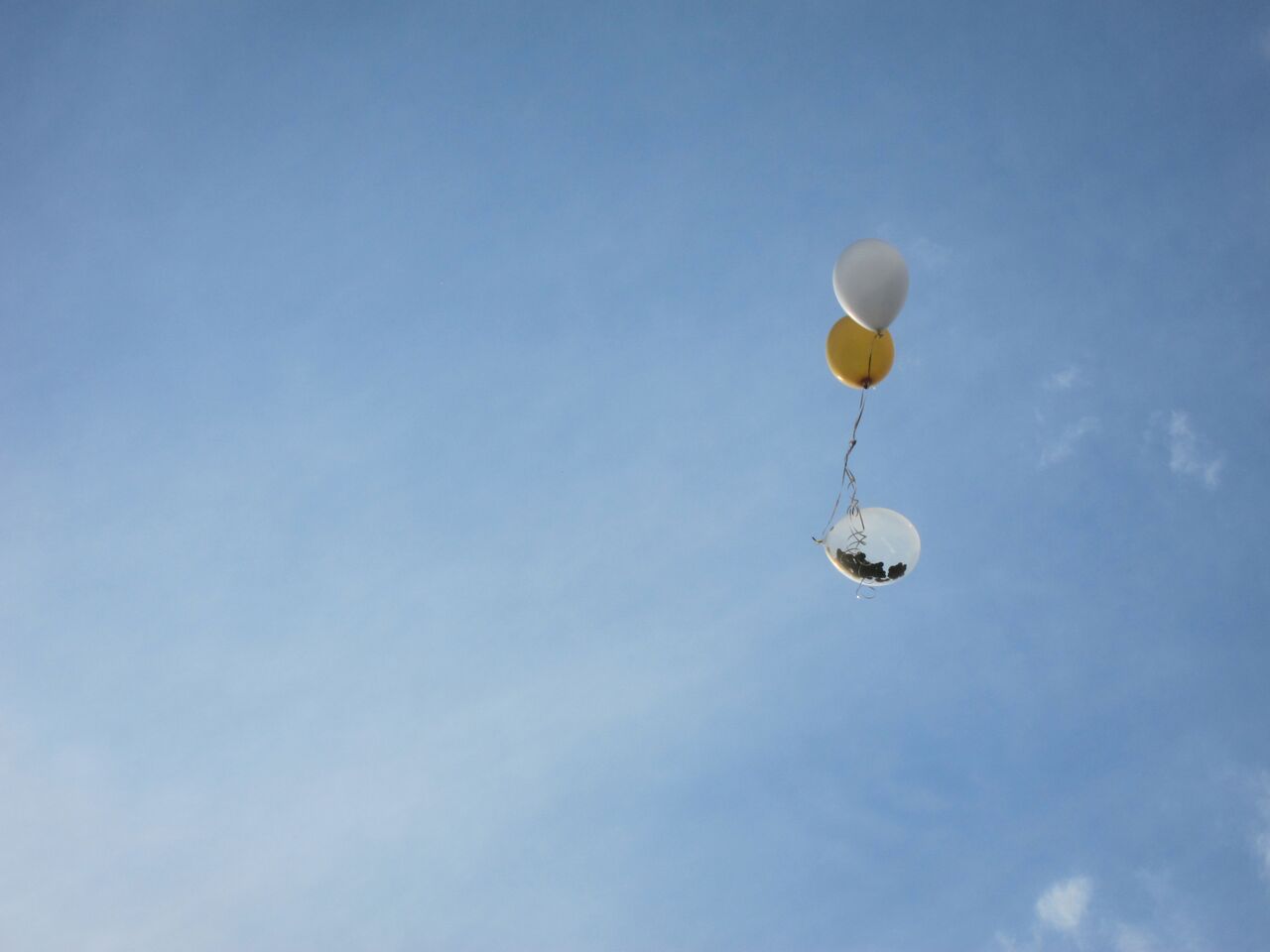 balloons.jpeg