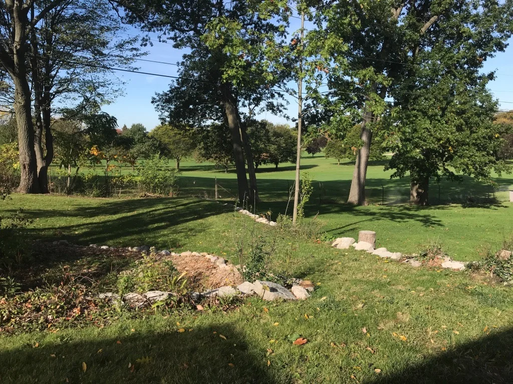 GOLF COURSE BEYOND