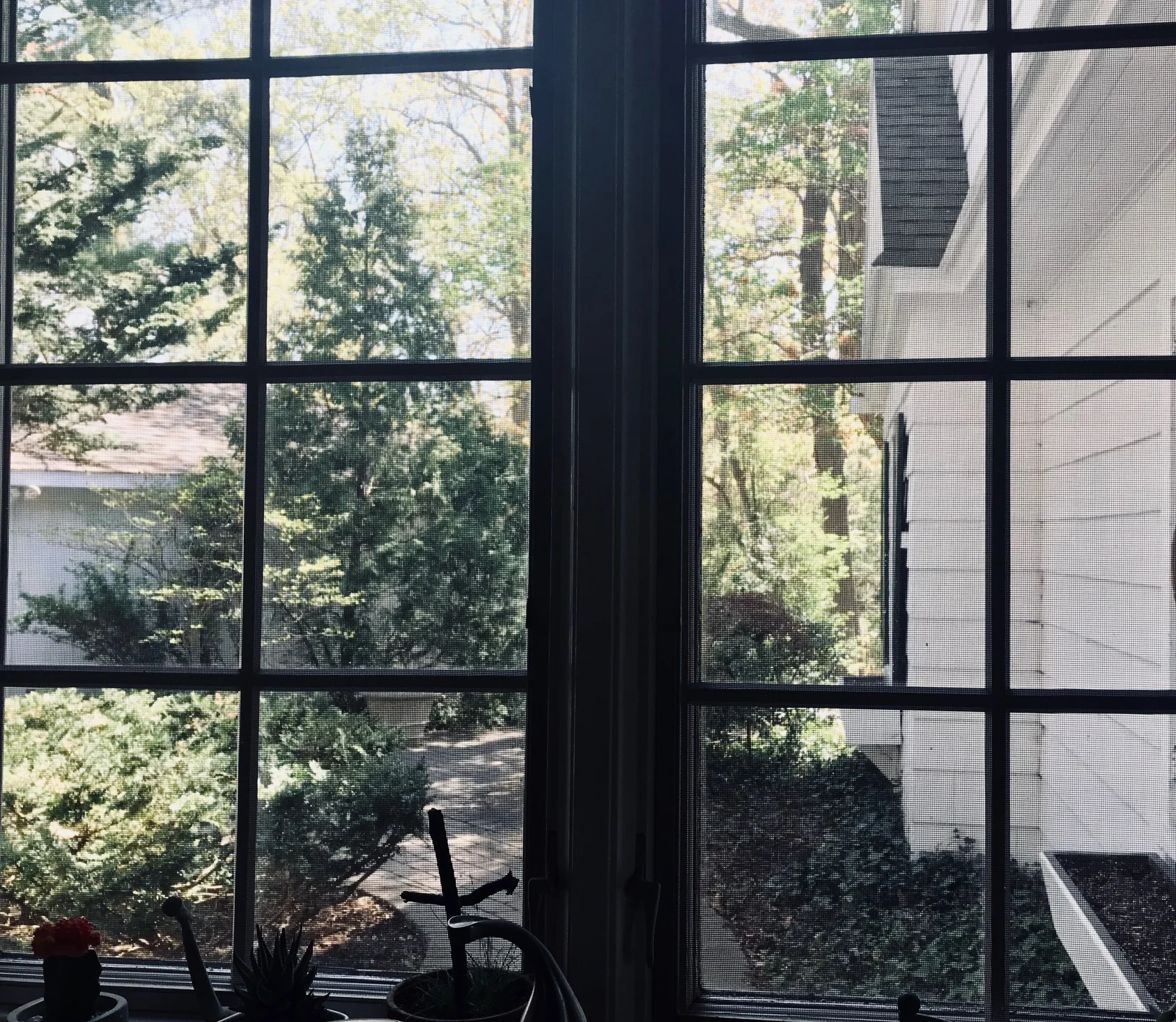 VIEWS OF NATURE FROM EVERY WINDOW