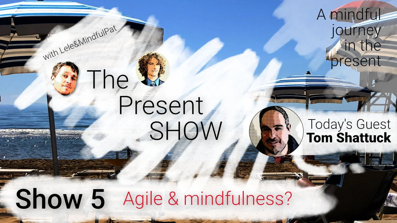 Episode 5 Agile and mindfulness?