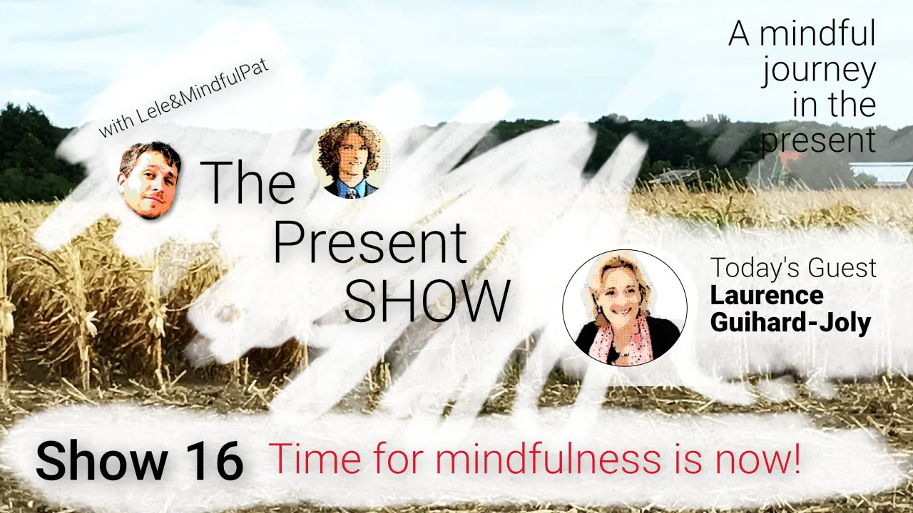 Episode 16 Time for mindfulness is NOW episode artwork