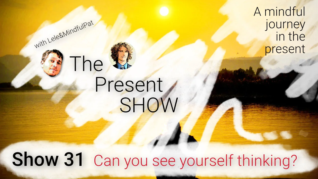Episode 31 Can you see yourself thinking? episode artwork