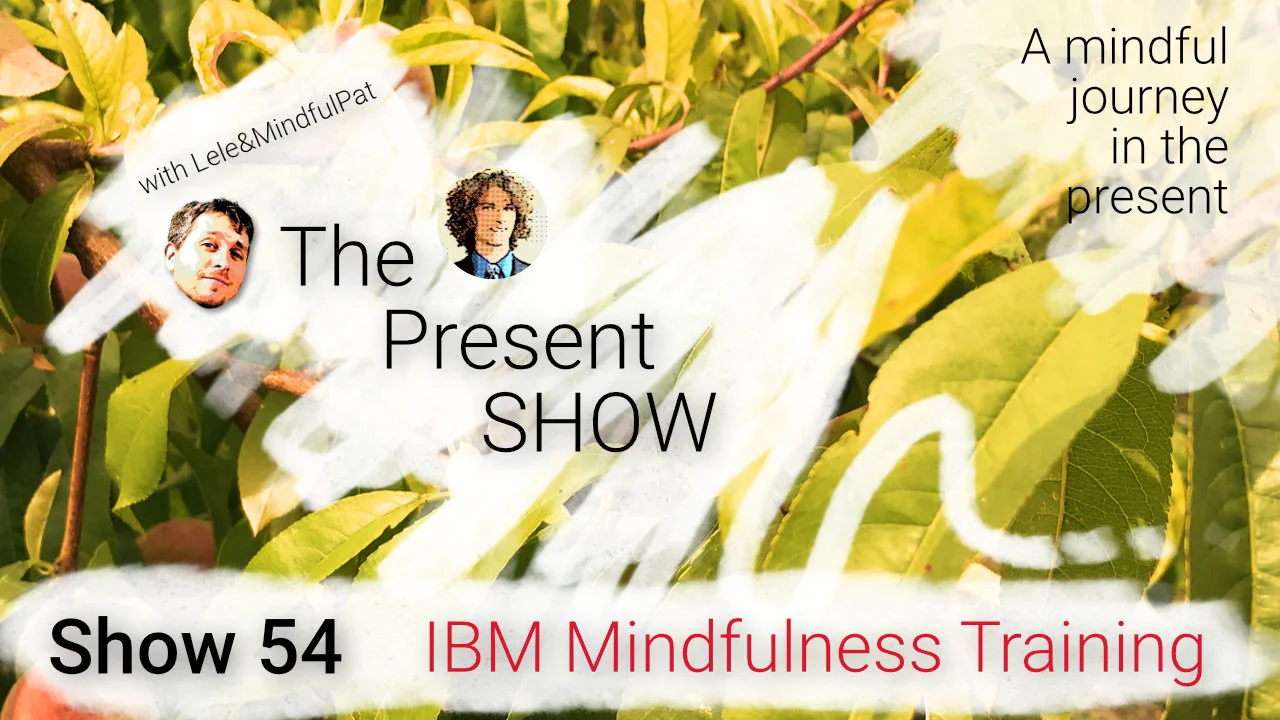 Episode 54 IBM Mindfulness Training episode artwork