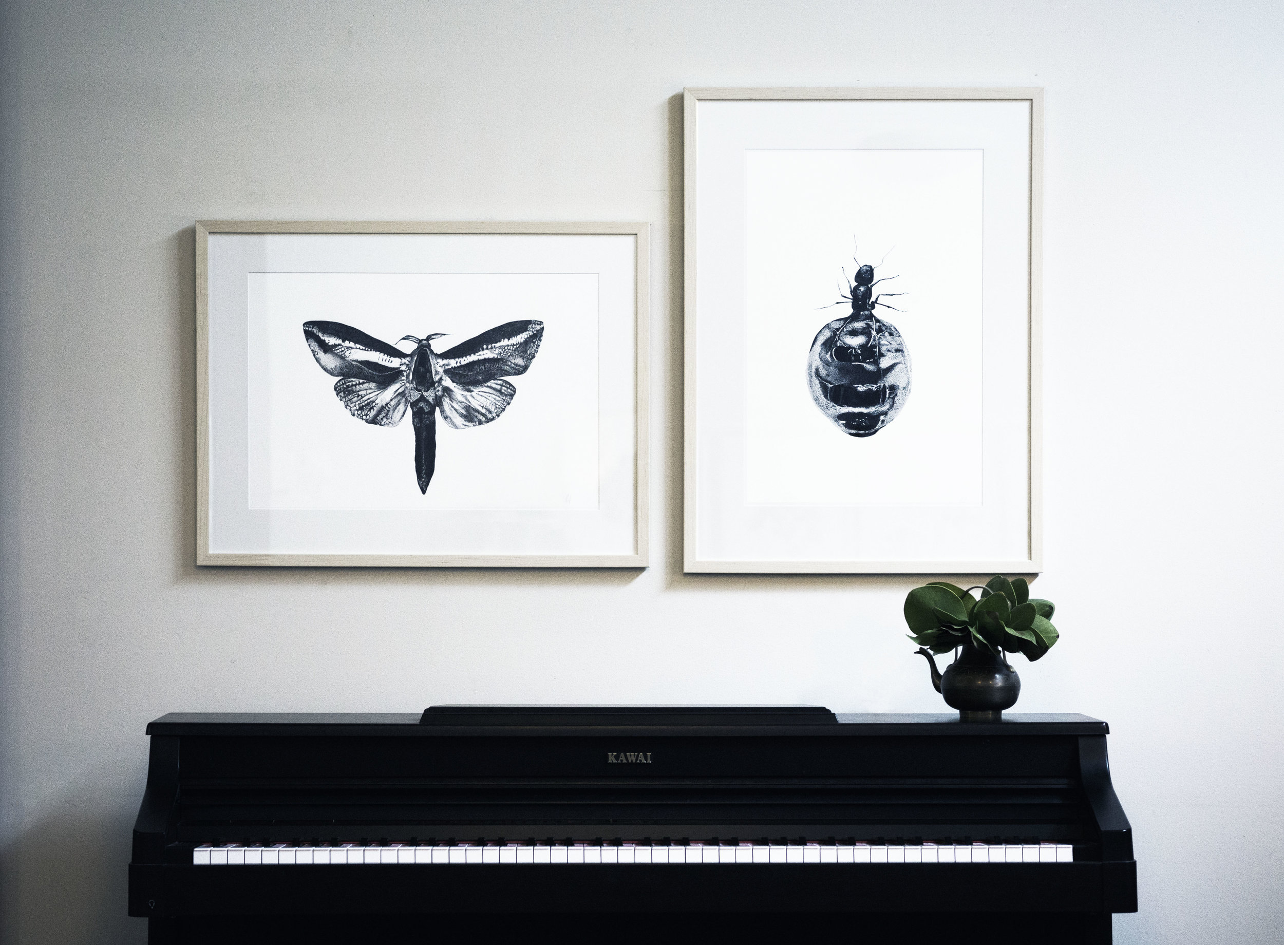 moth and ant edited.jpg