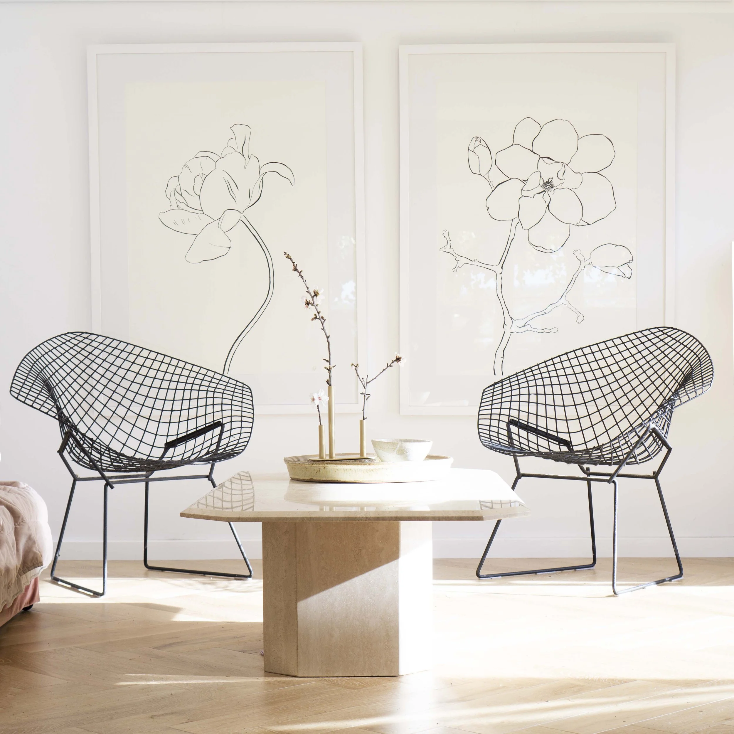 Shelter and Gather - studio.jpg