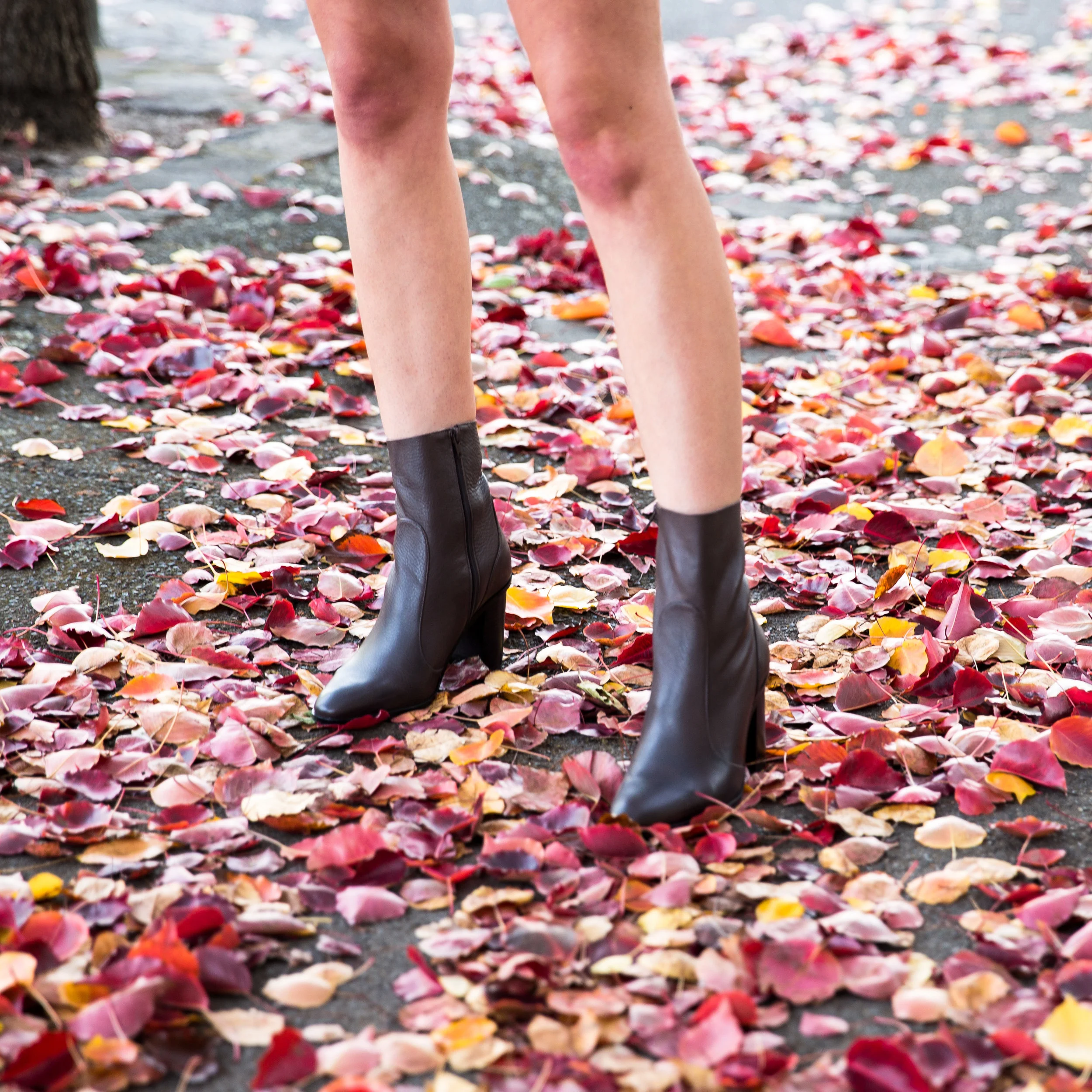 INDI_AUTUMN (4 of 53).jpg