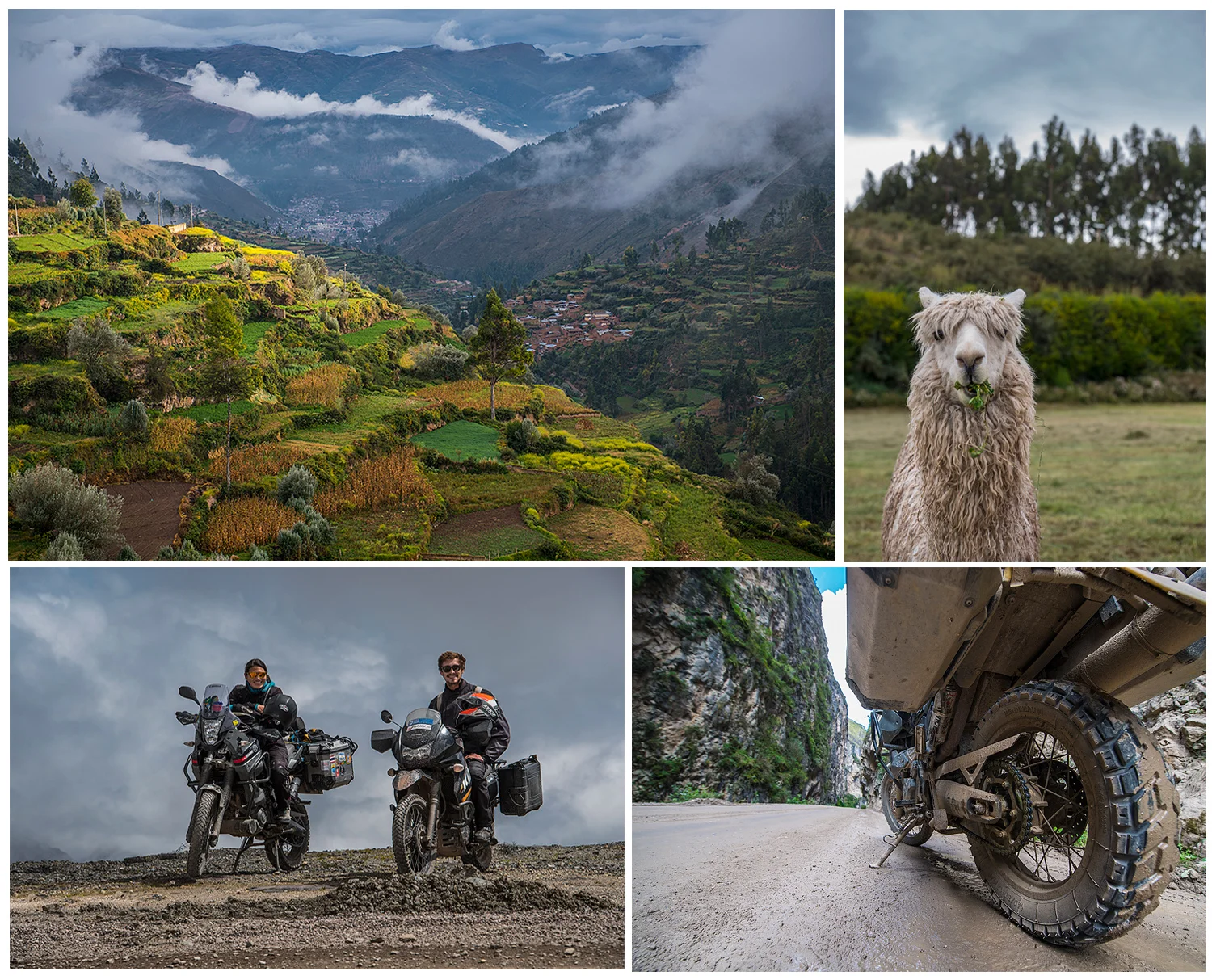 Tarma, the all present Llamas, Siri and Pascal above the clouds and some muddy roads