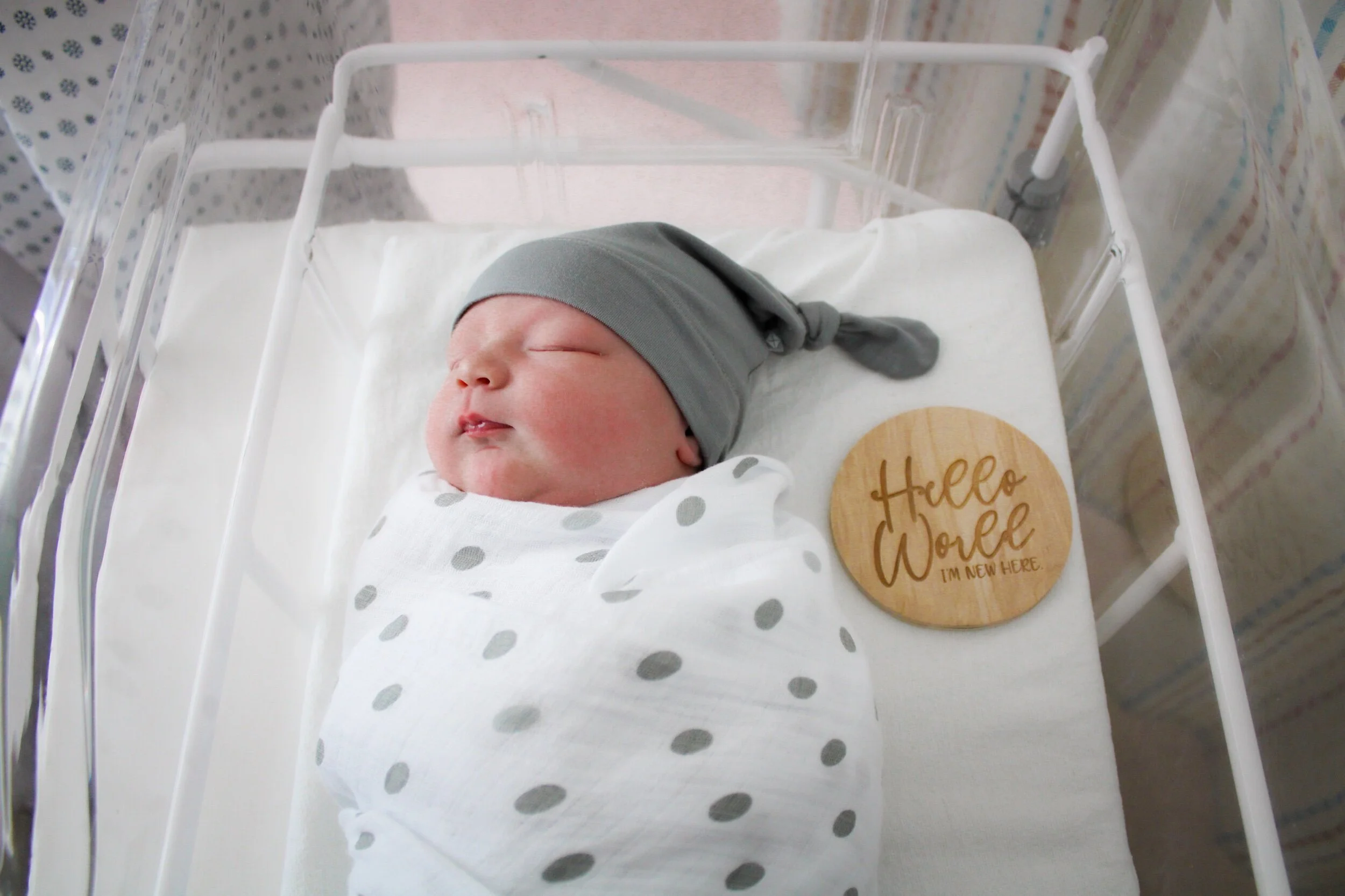 0F4813AA-8FC7-4EDA-B4D3-F915B0A25D7D