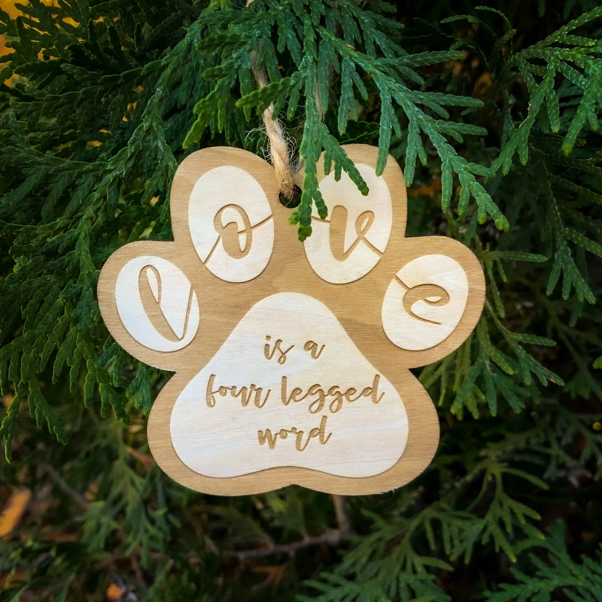 EE38A871-2045-4496-A235-5C9F4E023057