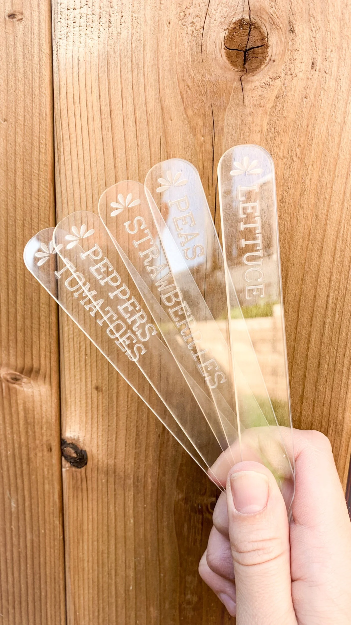 999E991A-F7DB-4F6E-9765-5523D3C8857D