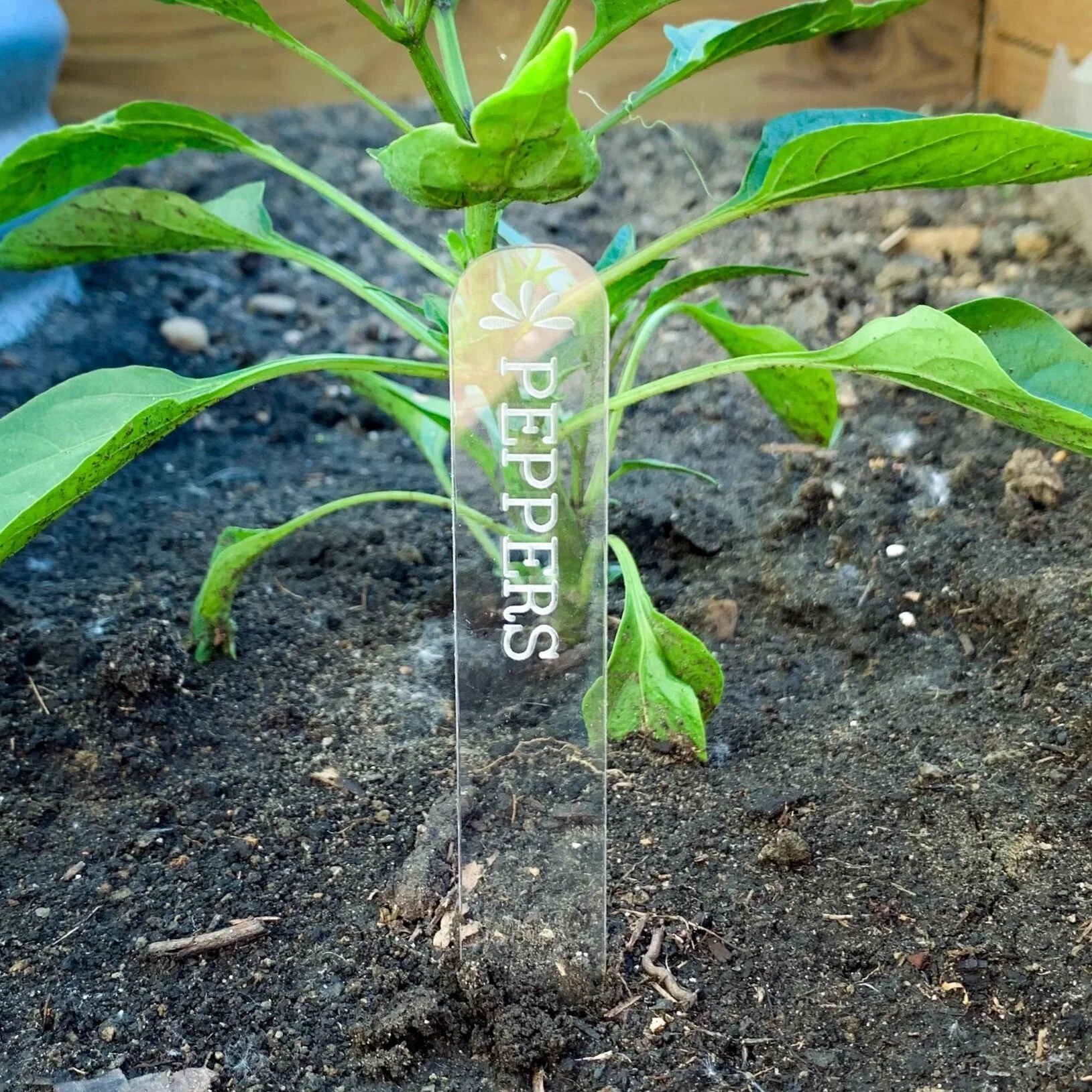 8FE1102D-5992-4CBB-8F65-FA87C0F849EA