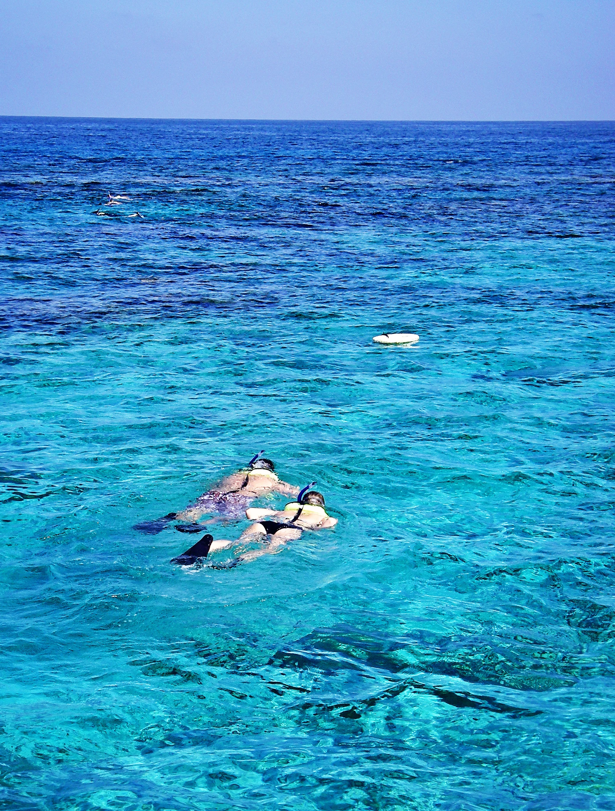 snorkeling-vertwater.jpg