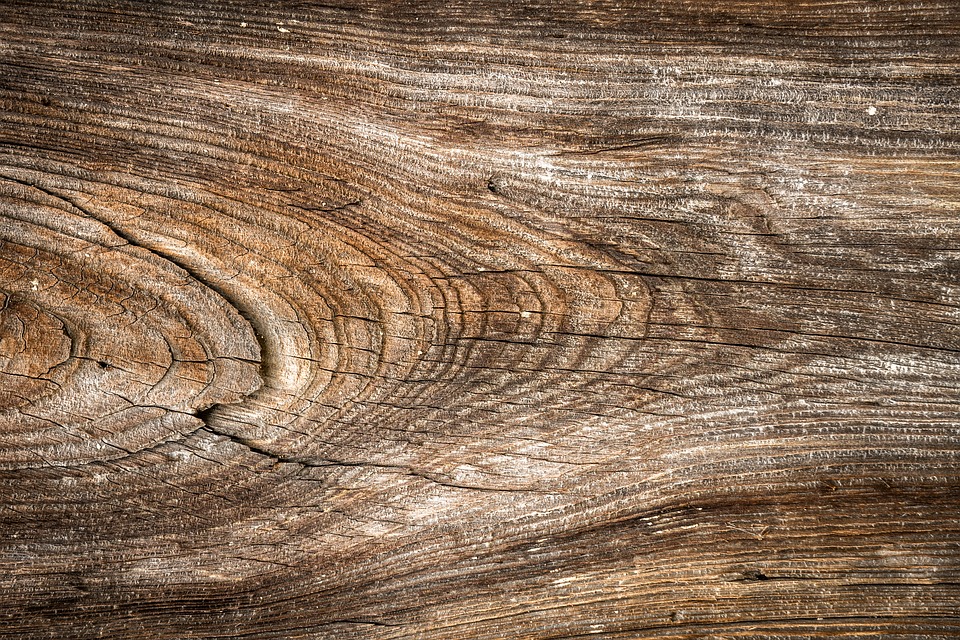 wood.jpg