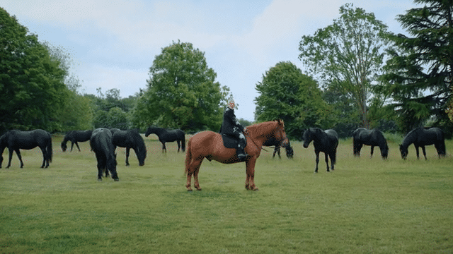 Revolut - Graham Norton-low.gif