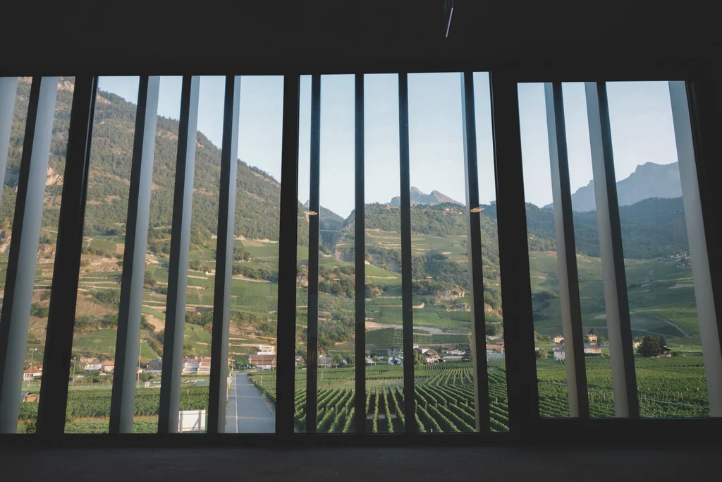 DSC08692valais.jpg