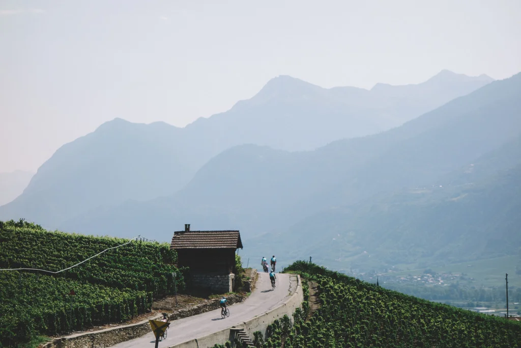 DSC09286valais.jpg