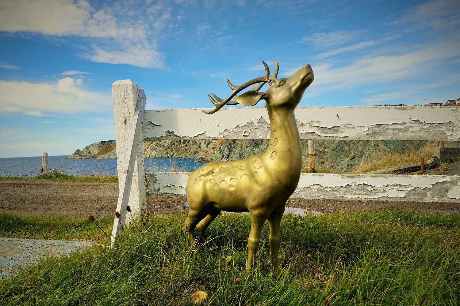 golden deer