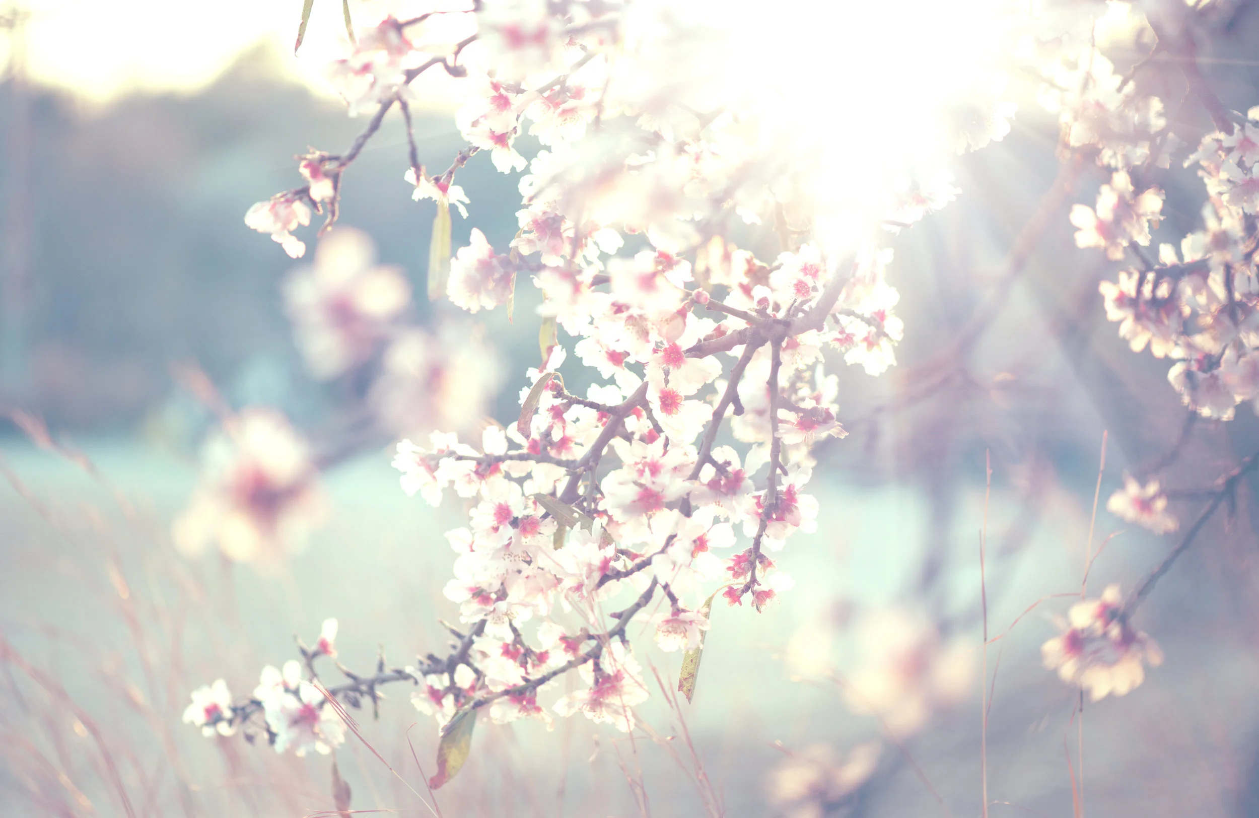 Wellness-AdobeStock_78953305.jpeg