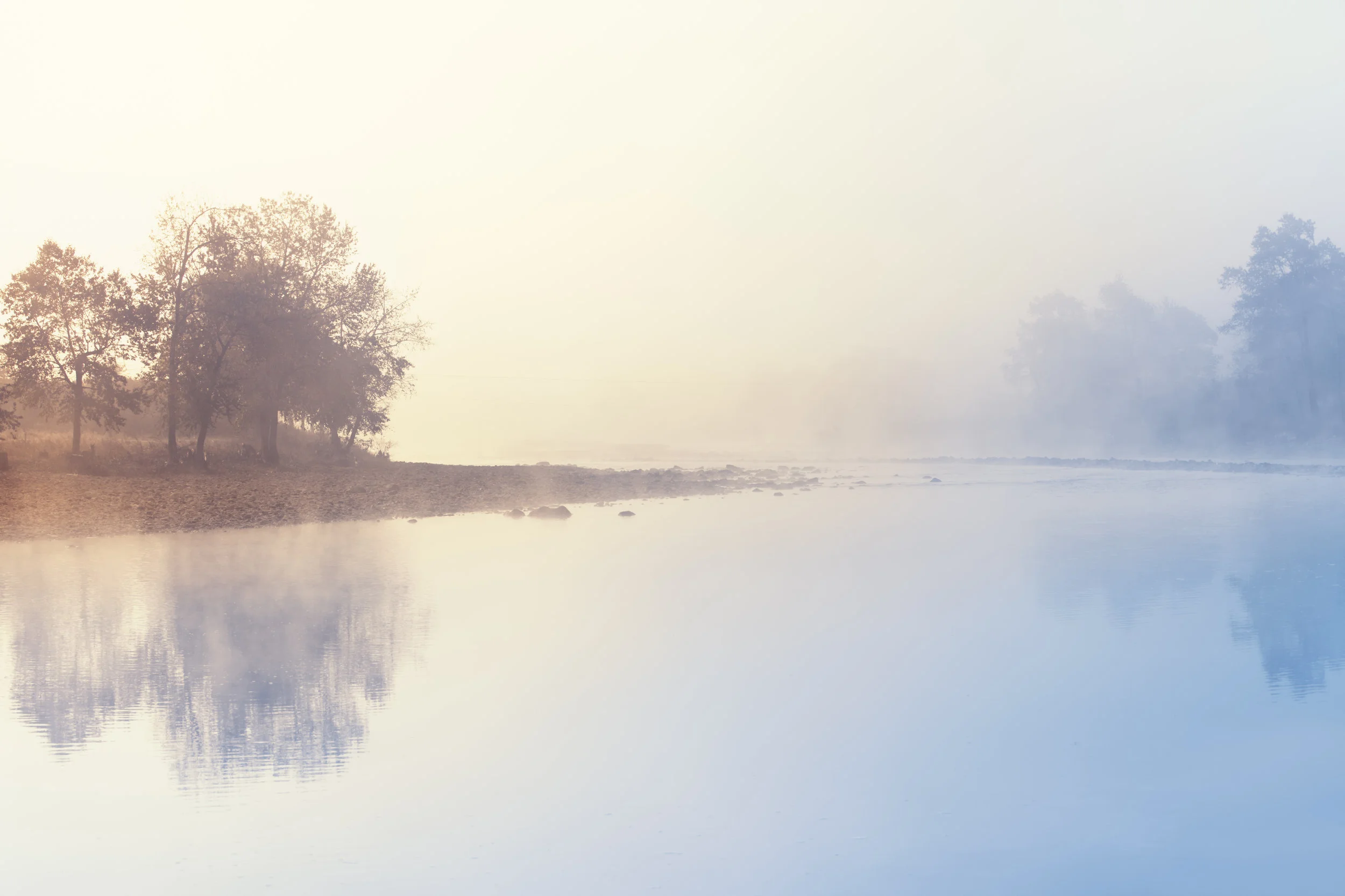 NET-AdobeStock_36042589.jpeg