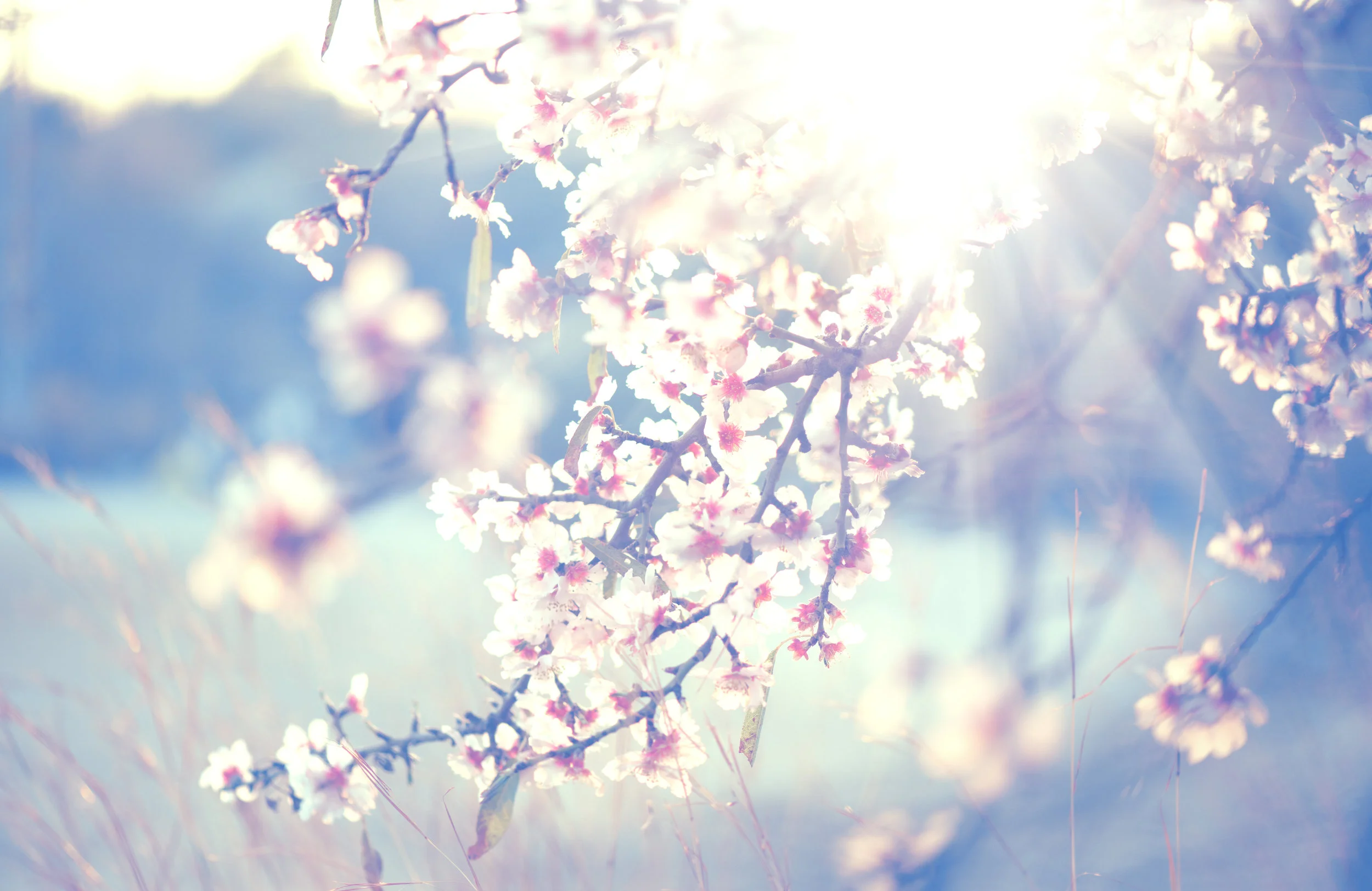 Wellness-AdobeStock_78953305.jpeg