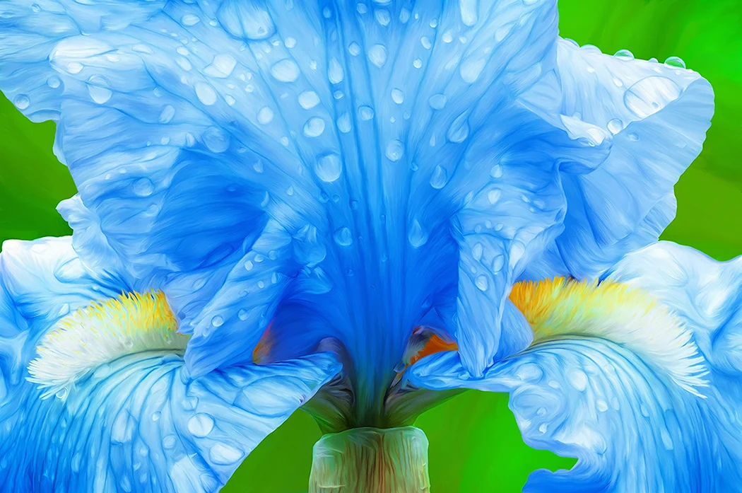 Blue Iris Painting