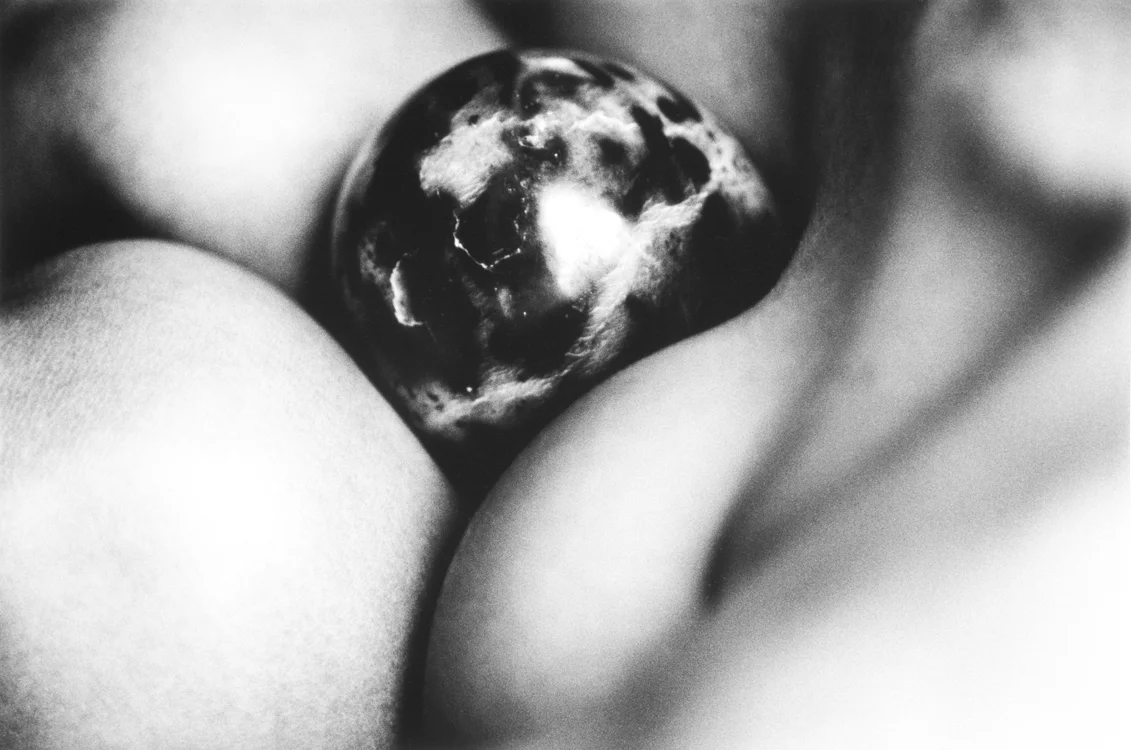 Egg 04