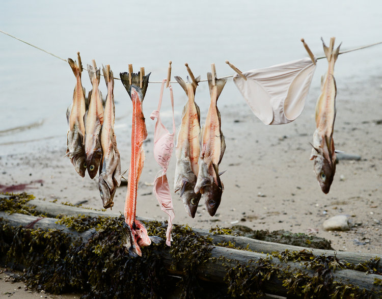 Washing Line 03 , 2010