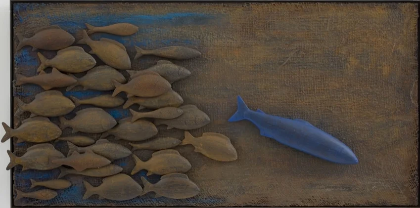 Shoal 03